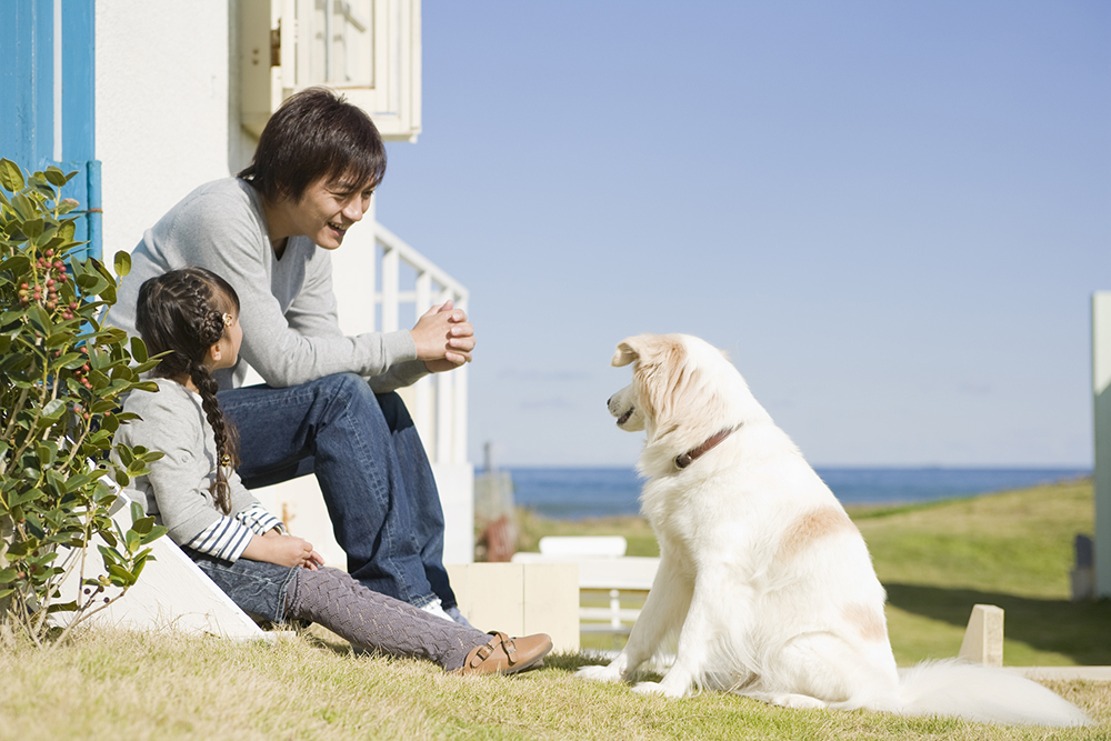 アニマルコミュニケーションとは | ぷーとみかんのHappy days